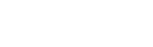 Didattica Digitale Integrata
